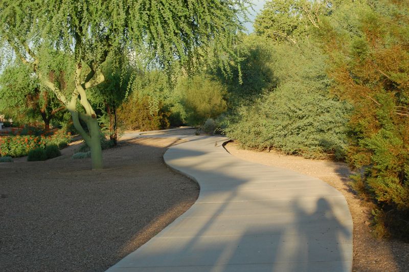 Sidewalk Installation