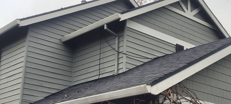 Dry Rot Repair