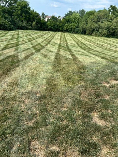 Our Mowing