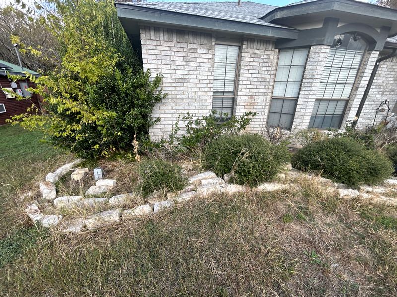Shrubbery trimming and removal