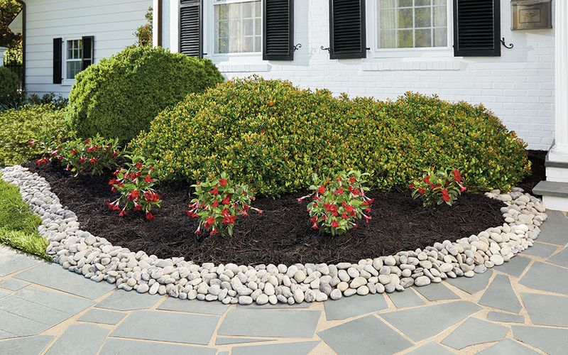 Lawn Maintenance