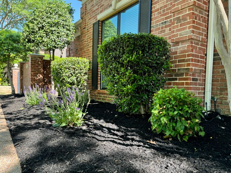 Landscape Design and Installation