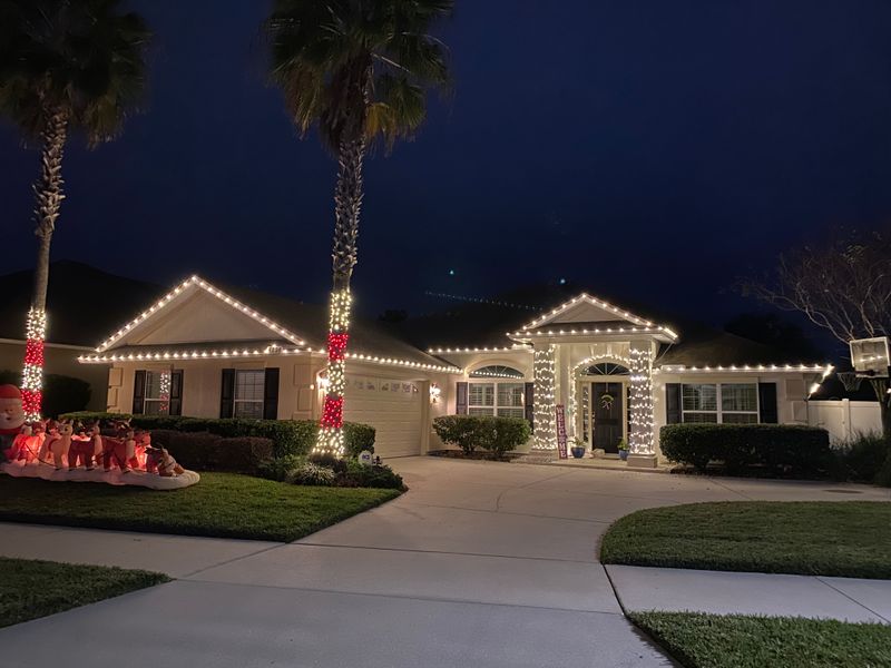 Christmas Light Installation