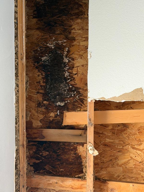 Revitalize Your Home: Expert Drywall Repairs and Roof Restoration by MC Drywall Solutions