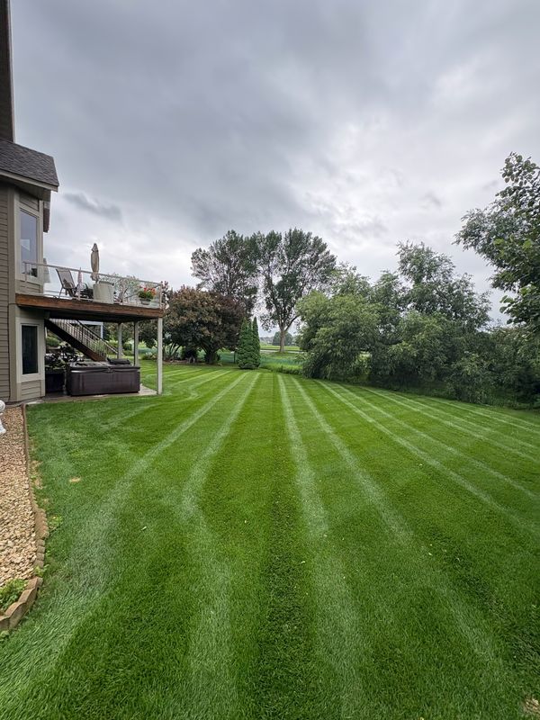 Lawn Mowing