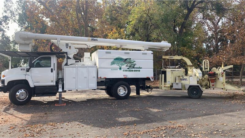 Tree Removal gallery