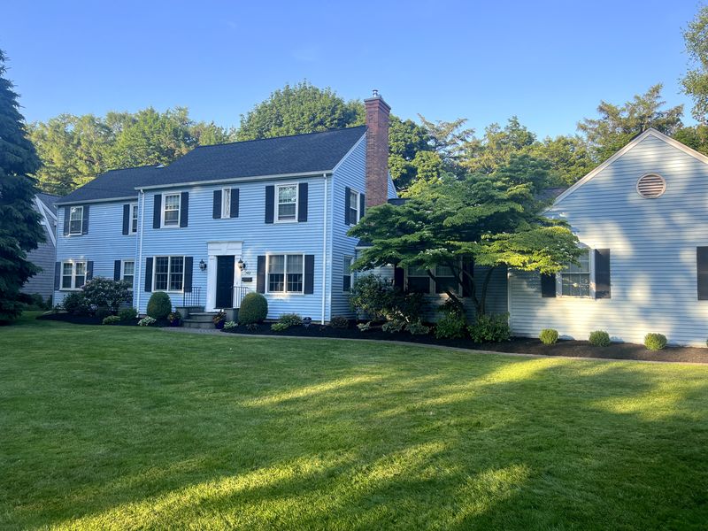 Small Tree Removal and Pruning