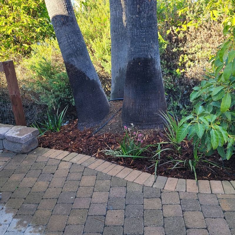 Mulch Installation