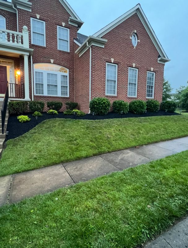 Lawn Maintenance