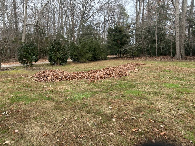 Leaf Removal 