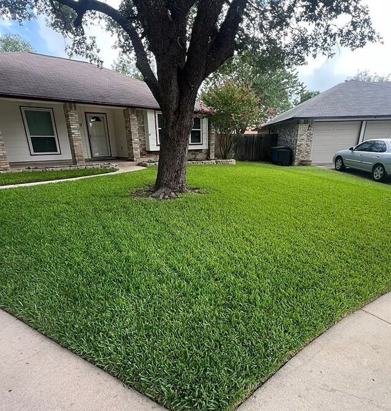 Lawn Mowing