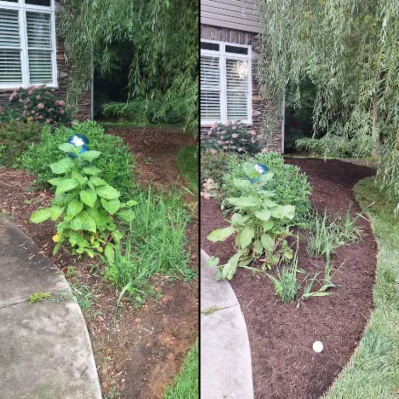Residential Lawn Care