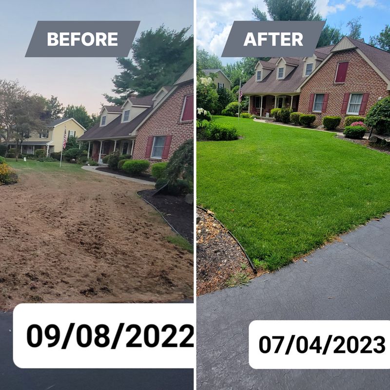 Lawn Repair