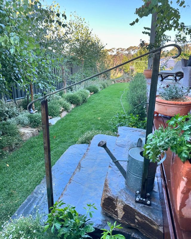 Ornamental Iron Guardrails