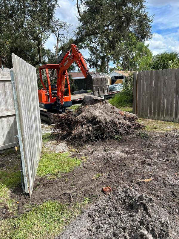 Stump Grinding