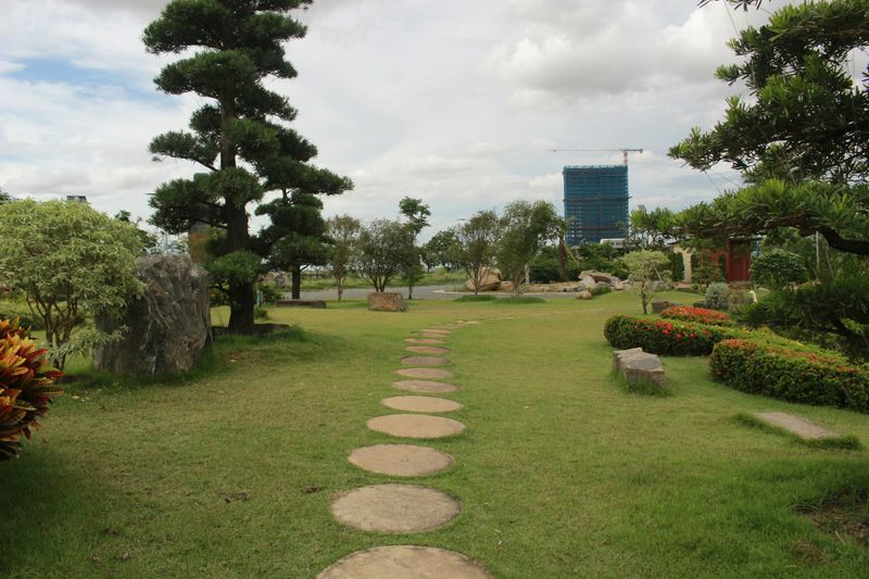 Landscape Design
