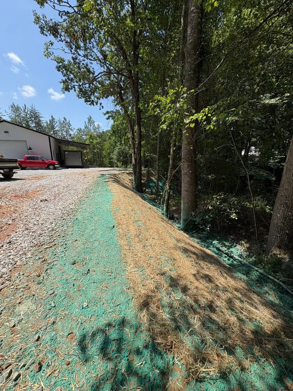 Hydroseeding Services