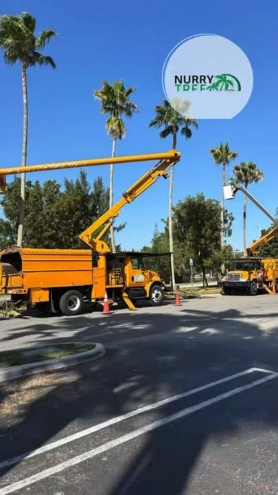 Tree Trimming