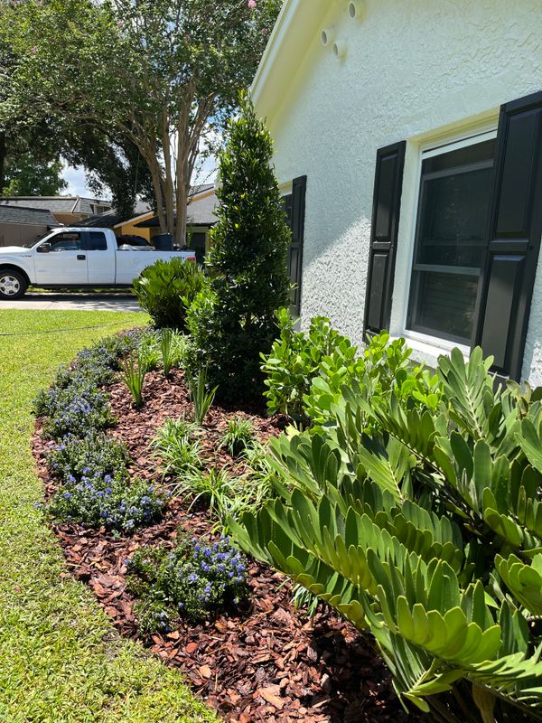 Landscape Design and Installation