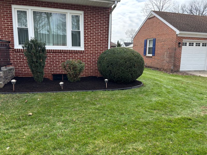 Mulch Installation