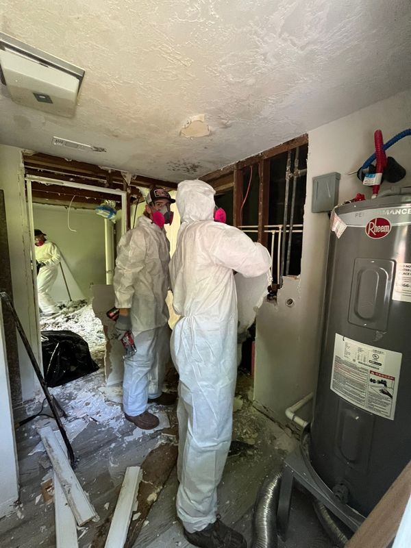 Drywall and interior repairs