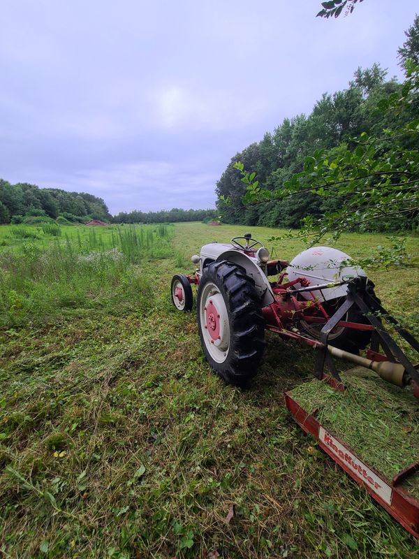Lawn Maintenance