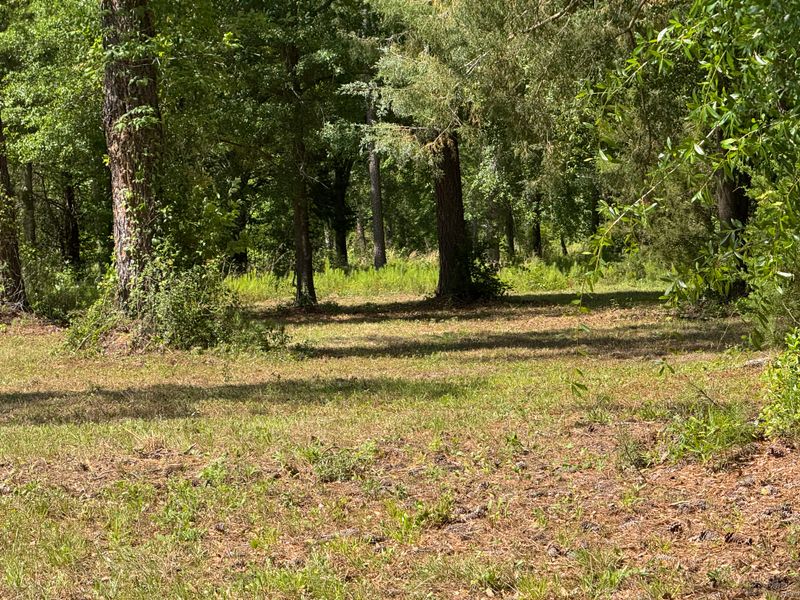 Land Managment 