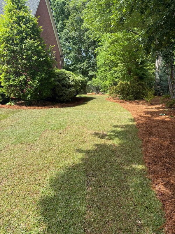 Landscape Design