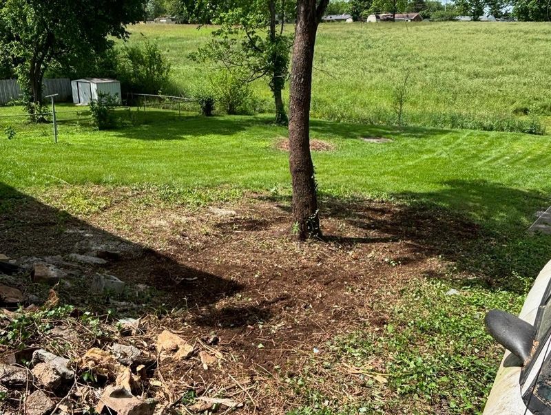 Landscaping