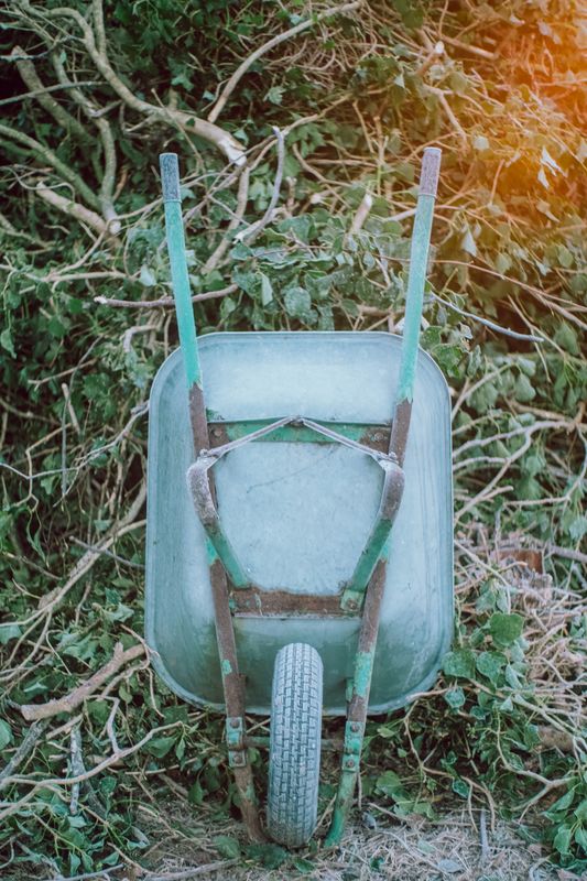Weed Control