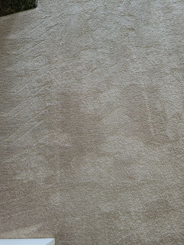 Carpet Cleaning