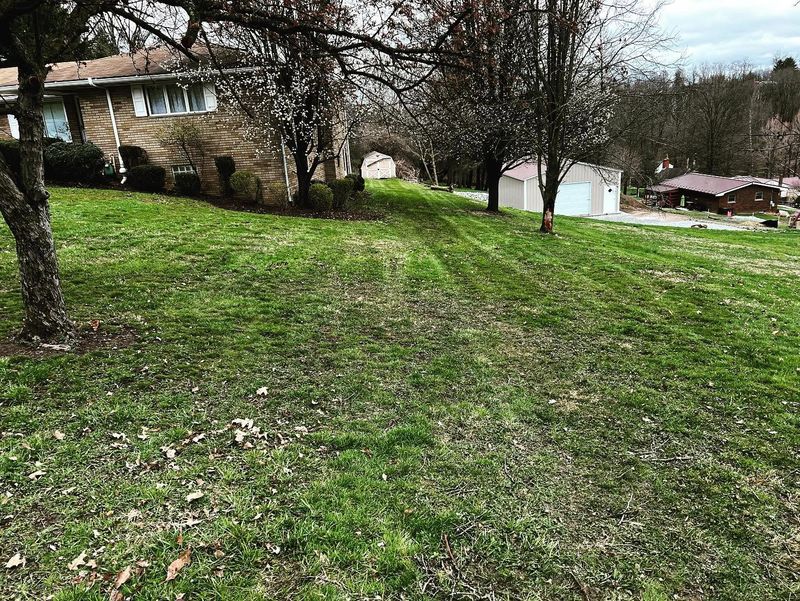 Mowing