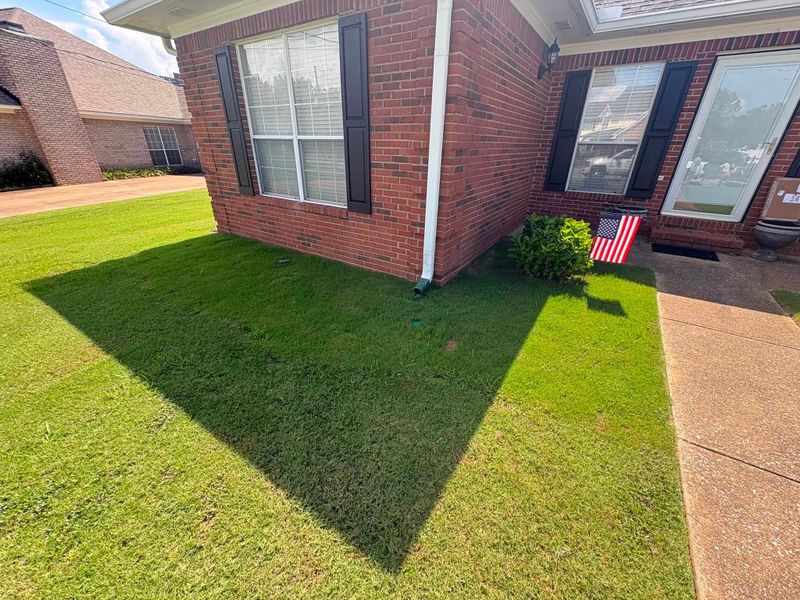 Lawn Mowing