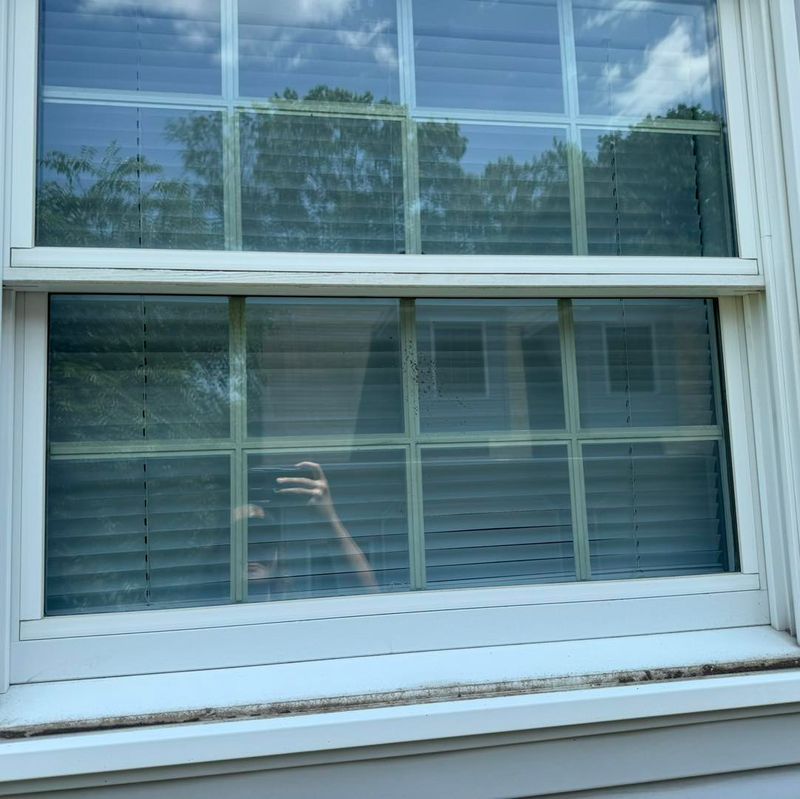 Residential Window Cleaning