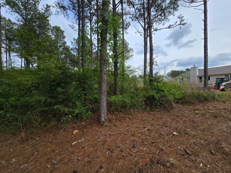 Residential Land Clearing