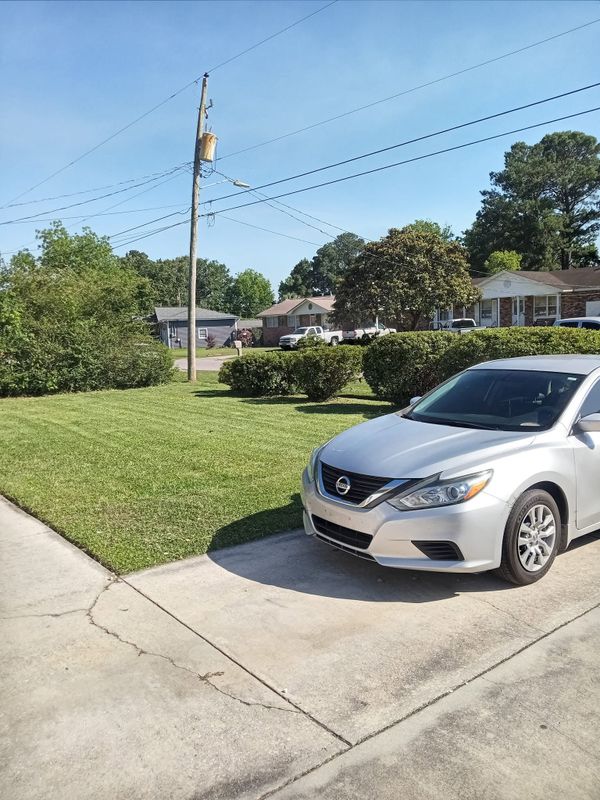 Lawn Maintenance