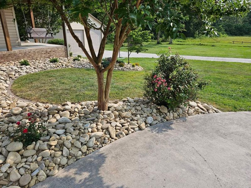 Landscape Installation