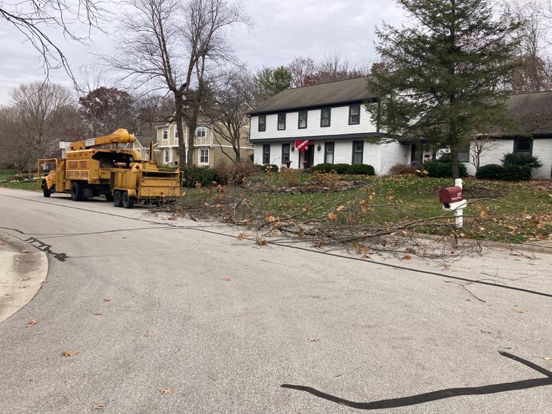 Storm Damage Clean Up