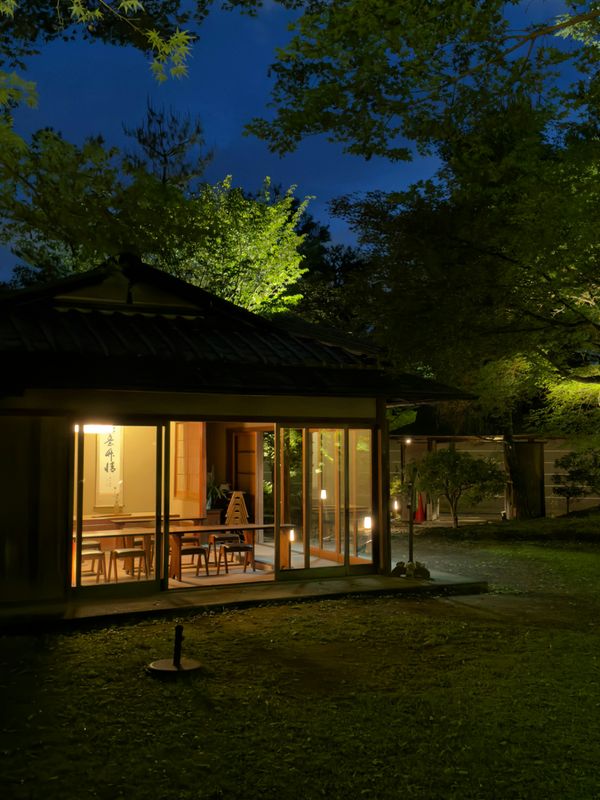 Landscape Lighting