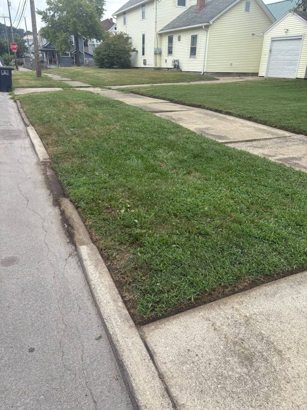 Lawn Maintenance