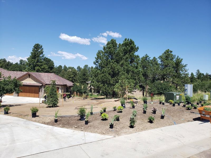 Landscape Design