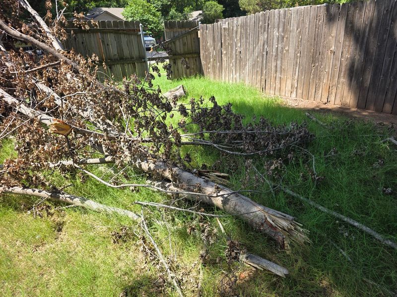 Storm Damage Cleanup