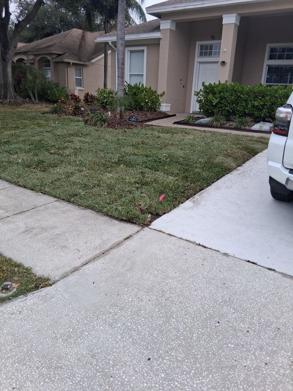 Landscape Design