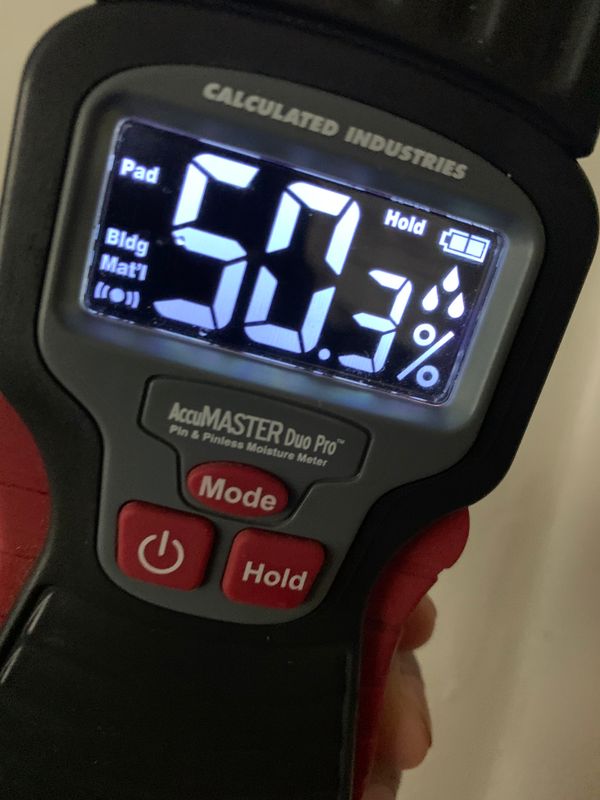 Mold Inspections
