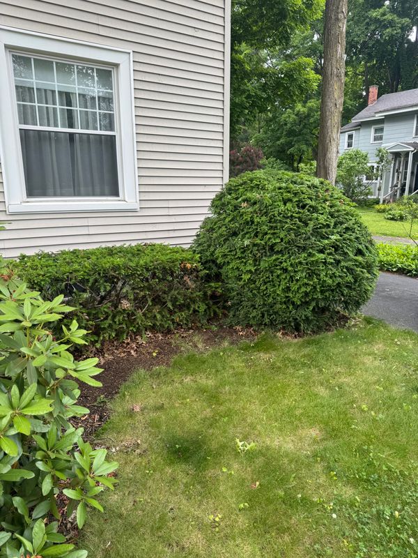 Lawn Maintenance