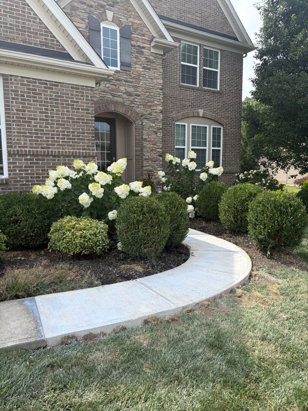Sidewalk Installation