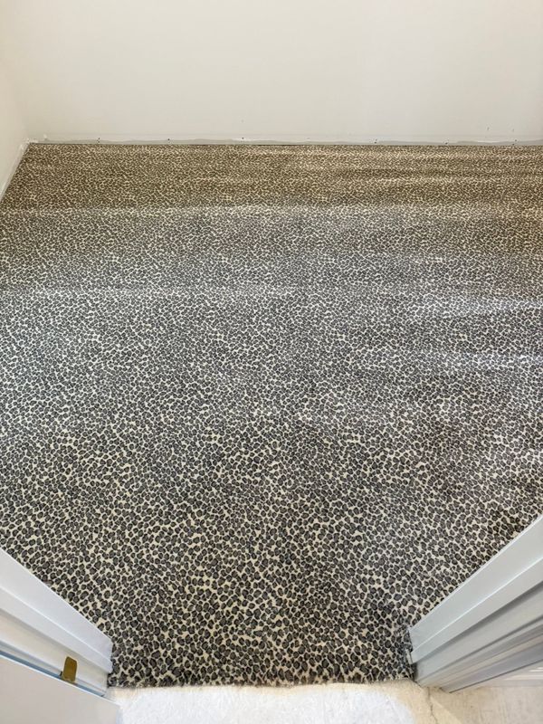 Carpet Installation and Replacement