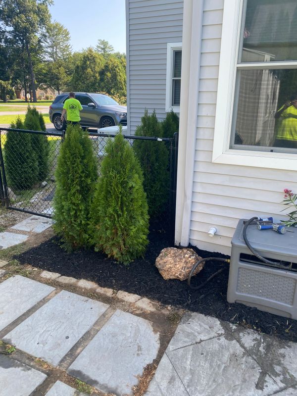 Mulching