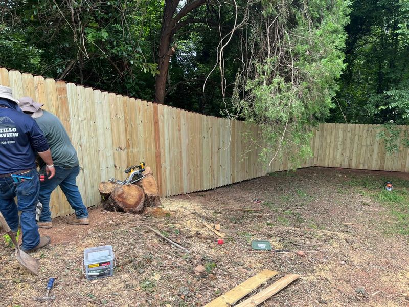 Tree & Shrub Care