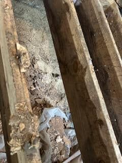 Original Floor Restoration